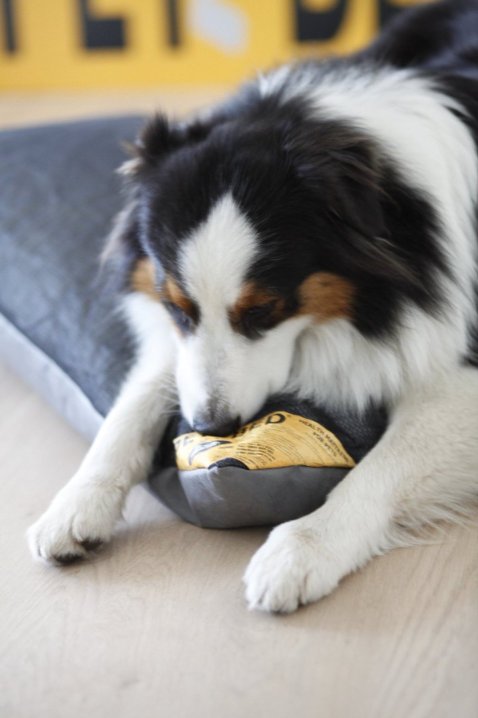 PETZBED Ishka